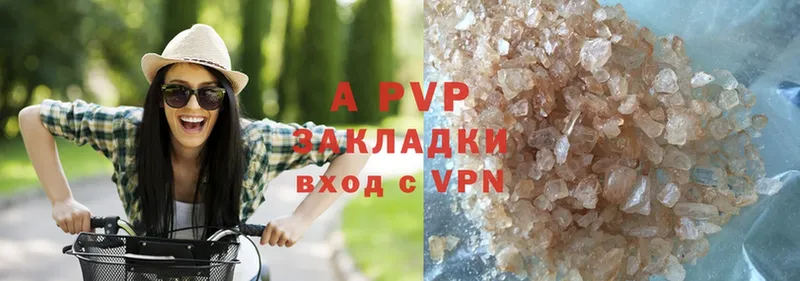 Alfa_PVP СК КРИС  Балтийск 